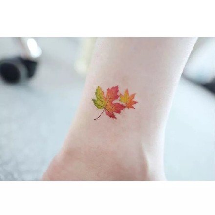 枫叶纹身图片：漂亮的一组枫叶纹身作品图片欣赏
