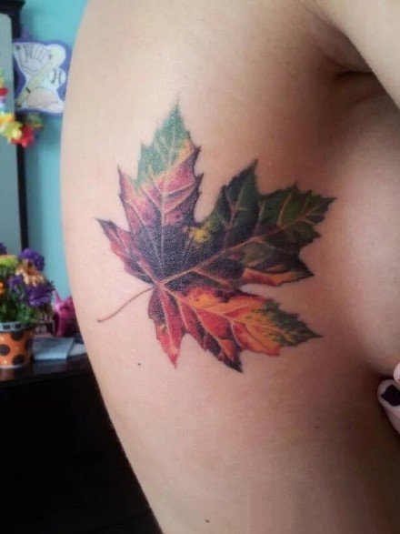 枫叶纹身图片：漂亮的一组枫叶纹身作品图片欣赏