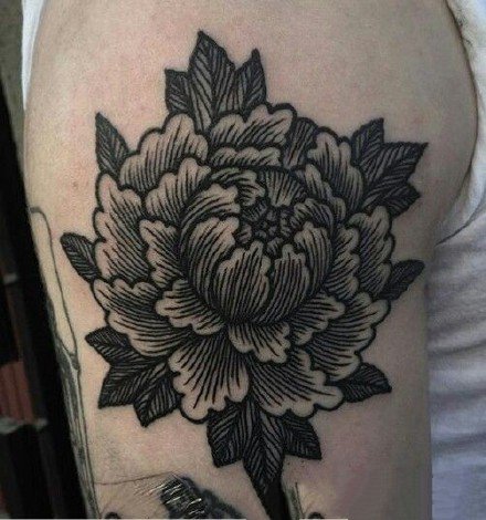 纹在手臂胳膊上的黑灰素花花卉纹身图案欣赏