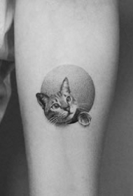 手臂上的黑色点刺小圆图纹身作品图片