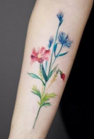 小手臂上小清新的花朵纹身图片9张