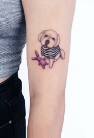 小清新动物：胳膊上很小清新的猫猫狗狗纹身图案缩略频道推荐图