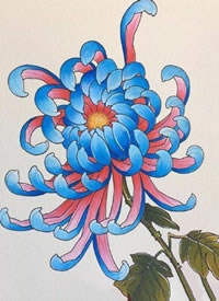 漂亮的一组彩色传统菊花纹身手稿图案