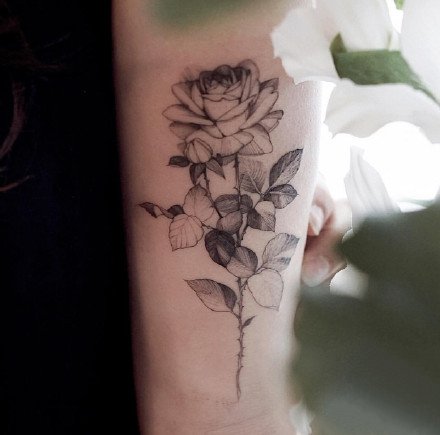 适合女生的各部位唯美的素花纹身图案