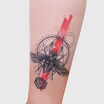 适合小腿和小臂的一组小清新水彩纹身作品