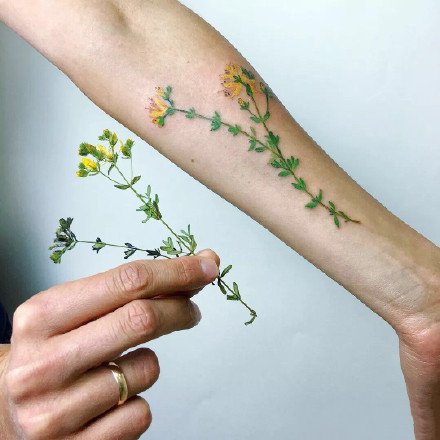 植物花卉纹身：27张鲜艳的彩色花卉植物纹身图案