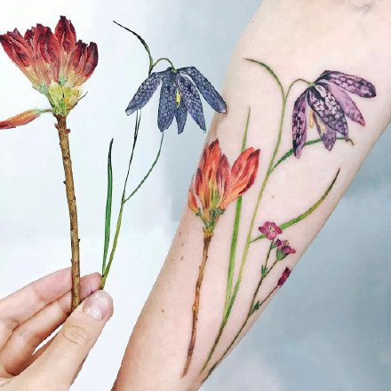 植物花卉纹身：27张鲜艳的彩色花卉植物纹身图案