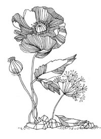 42张素花小清新花朵纹身手稿素材