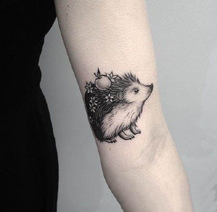刺猬刺青：一组可爱的小刺猬纹身图片欣赏