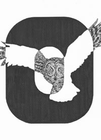 26个字母的创意设计纹身手稿素材