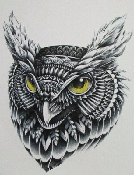 一组漂亮的猫头鹰纹身手稿图案