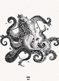 一组动物黑白插画的点刺纹身手稿