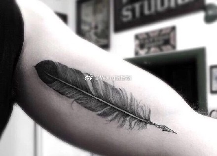 羽毛刺青：16张很漂亮的小清新羽毛纹身图案