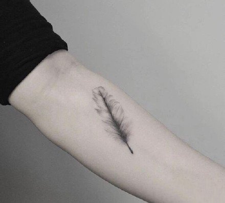 羽毛刺青：16张很漂亮的小清新羽毛纹身图案