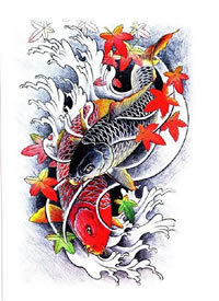 一组锦鲤鱼的纹身手稿素材9张