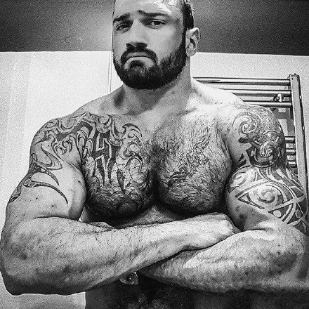 一组有纹身的肌肉型男帅哥图片