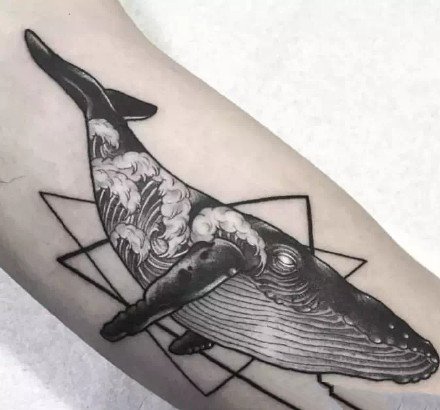 黑灰色的一组创意鲸鱼纹身图案