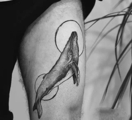 黑灰色的一组创意鲸鱼纹身图案