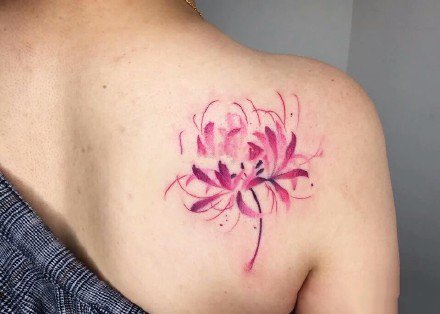 漂亮唯美的一组彼岸花纹身图案