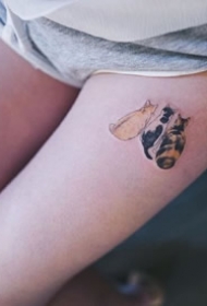 猫奴们喜欢的宠物小猫纹身图片欣赏