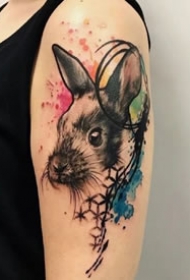 school风格的一组彩色狗狗纹身图案9张