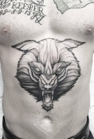 一组个性的黑灰植物和动物创意纹身图片