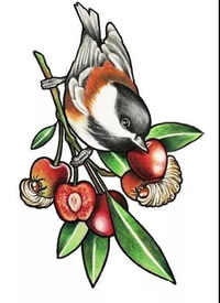 一组Newschool的鸟类纹身手稿图