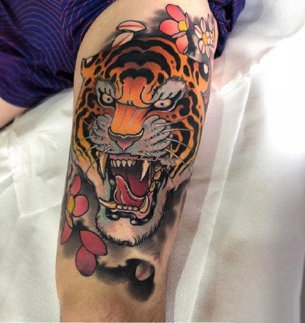 newschool老虎：一组school风格的彩色老虎纹身图案