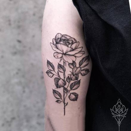 点刺花卉：18张点刺风格的花卉纹身图案