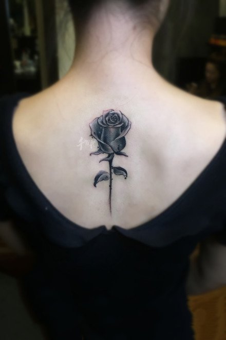 好看的的一组彩色小清新纹身图案9张