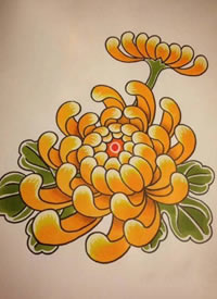 一组彩色的菊花纹身手稿图案