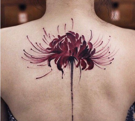 漂亮的一组曼珠沙华彼岸花纹身图案