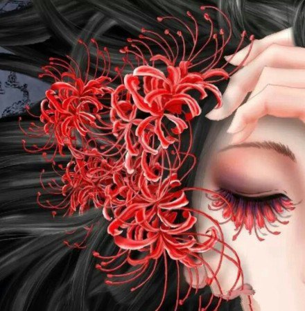 漂亮的一组曼珠沙华彼岸花纹身图案