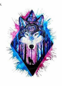 一组彩色狼头纹身手稿图案欣赏