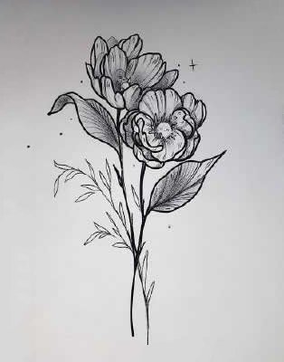 40张植物花朵的黑灰线稿手稿图案