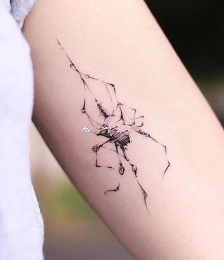 好看的一组黑灰小蜘蛛纹身图案