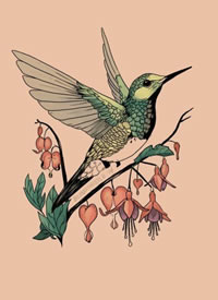 一组蜂鸟与花的小清新纹身手稿图片