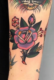 23张好看的手臂腿部小彩色纹身图片