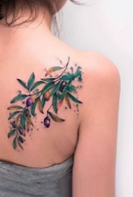 9张橄榄枝和果实的植物纹身图案