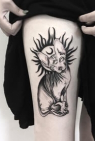 斯芬克斯猫的一组黑灰猫纹身图片