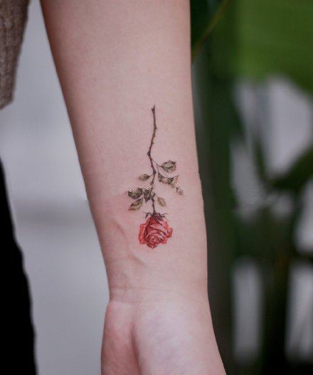 27张好看的小清新彩色纹身图案