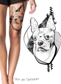 一组黑灰小动物的手稿和效果图欣赏