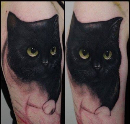 关于猫咪的九张纹身作品图片