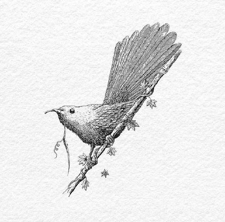 36组动物等黑白点刺插画纹身手稿图案