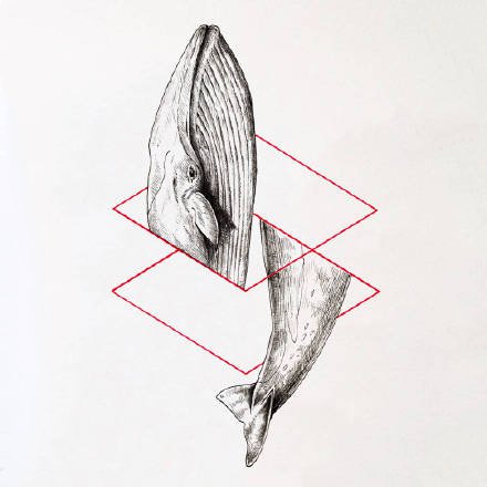 36组动物等黑白点刺插画纹身手稿图案