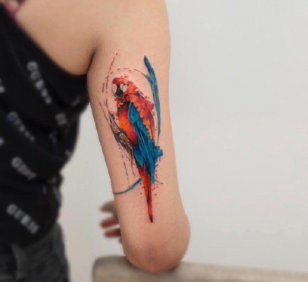 30张漂亮的水彩色纹身图案图片