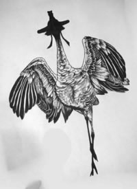 一组个性暗黑动物的纹身手稿欣赏