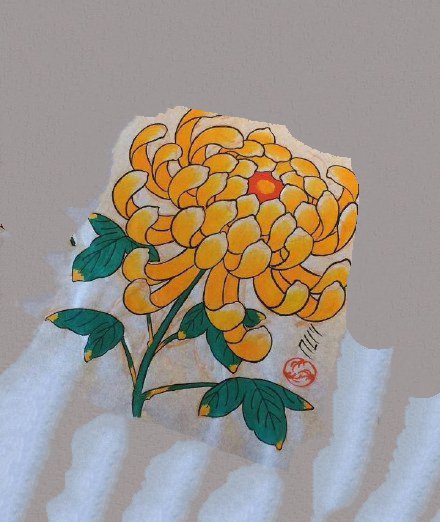 50组传统菊花纹身手稿图案