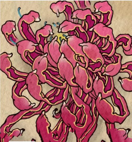 50组传统菊花纹身手稿图案