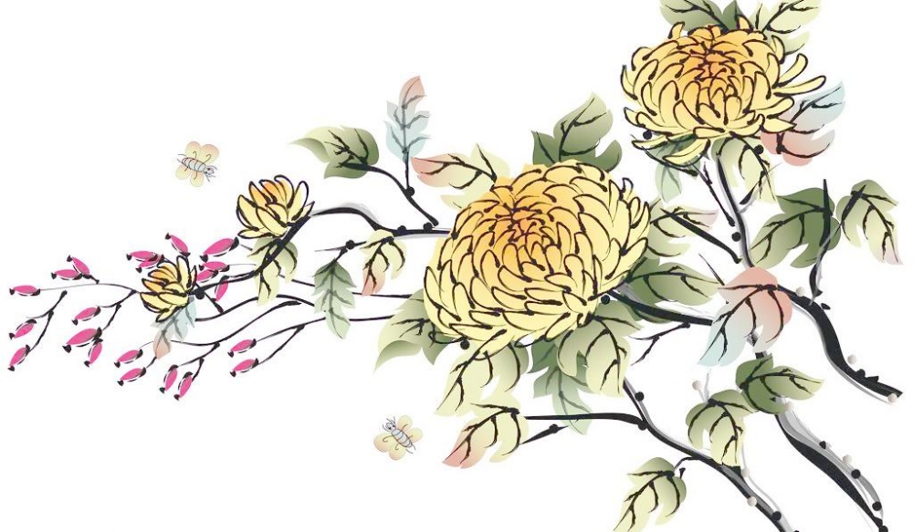 50组传统菊花纹身手稿图案